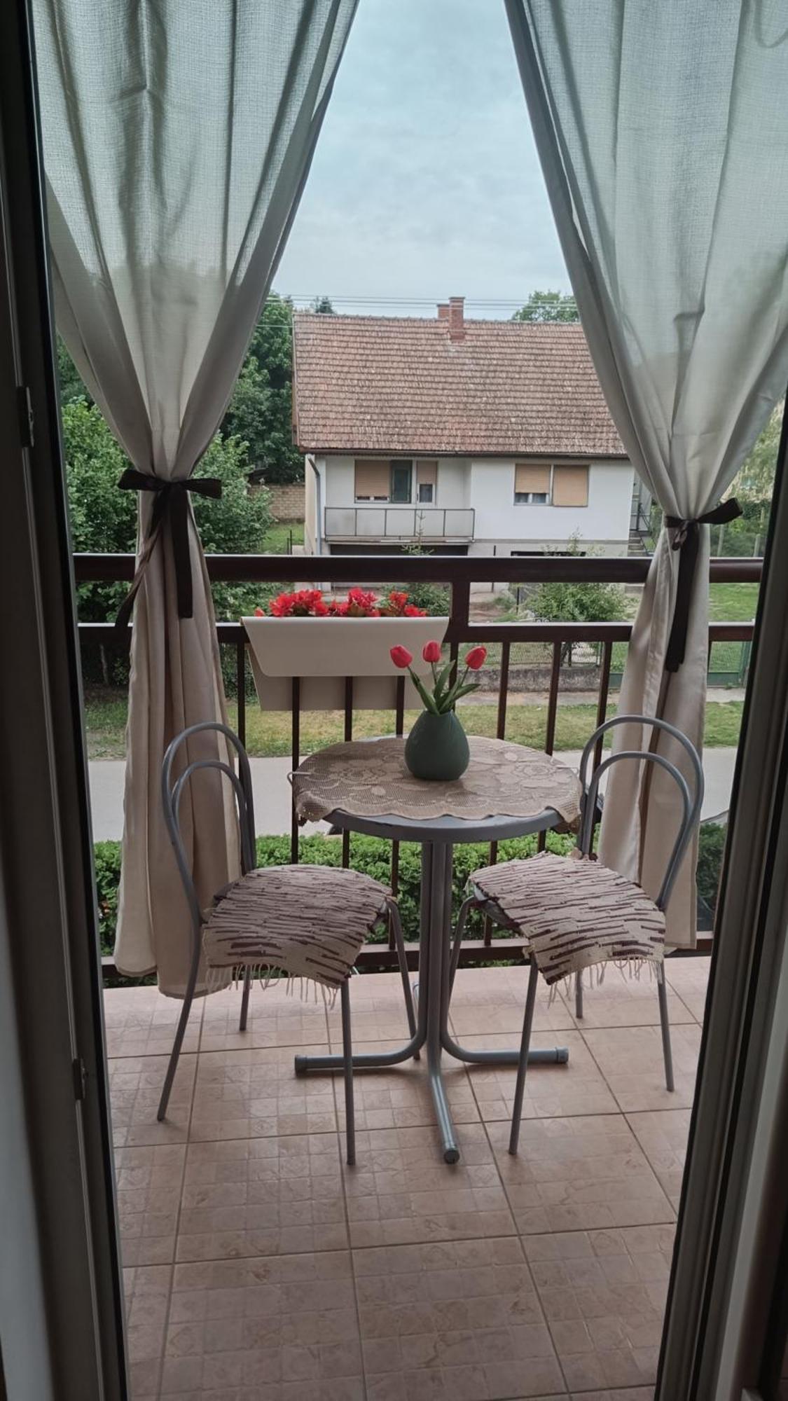 Dora Apartman Palić Exteriör bild